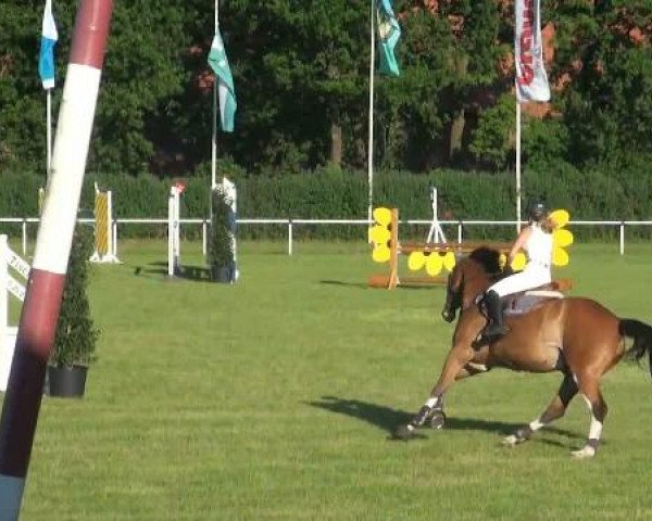 Ostenfelde-Vornholz  Dressur und Springturnier 2012