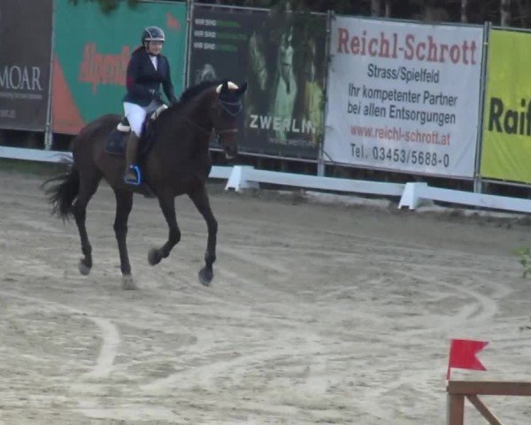 Reitturnier Preding 2023