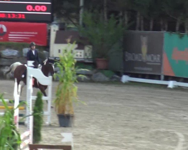 Reitturnier Preding 2023