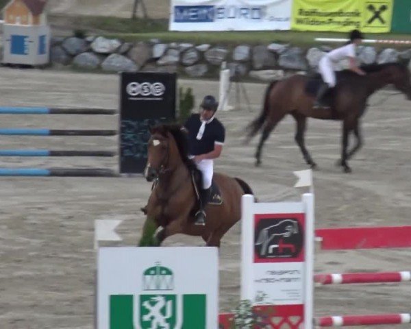 Reitturnier Preding 2023