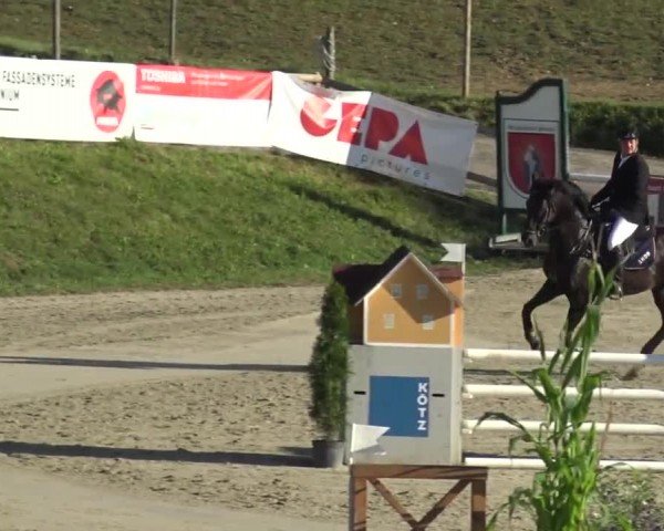 Reitturnier Preding 2023