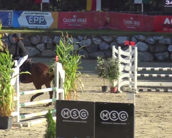 Reitturnier Preding 2023