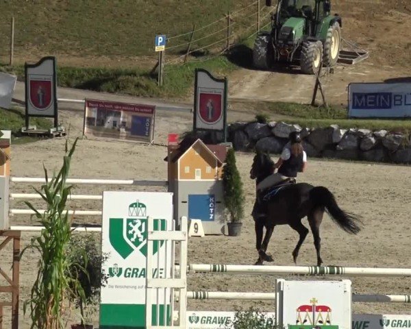 Reitturnier Preding 2023
