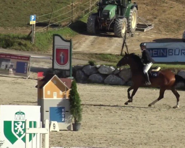 Reitturnier Preding 2023