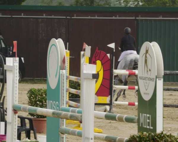 Reitturnier Bornheim-Widdig 2024
