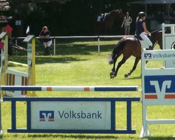 Ostenfelde-Vornholz Dressur und Springturnier 2012