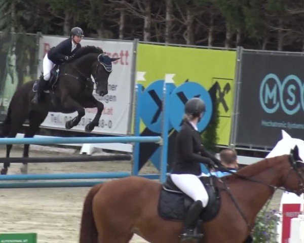 Reitturnier Preding 2023