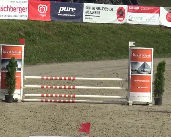 Reitturnier Preding 2023