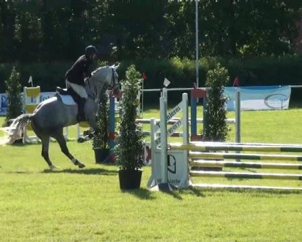 Ostenfelde-Vornholz  Dressur und Springturnier 2012
