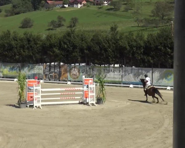 Reitturnier Preding 2023