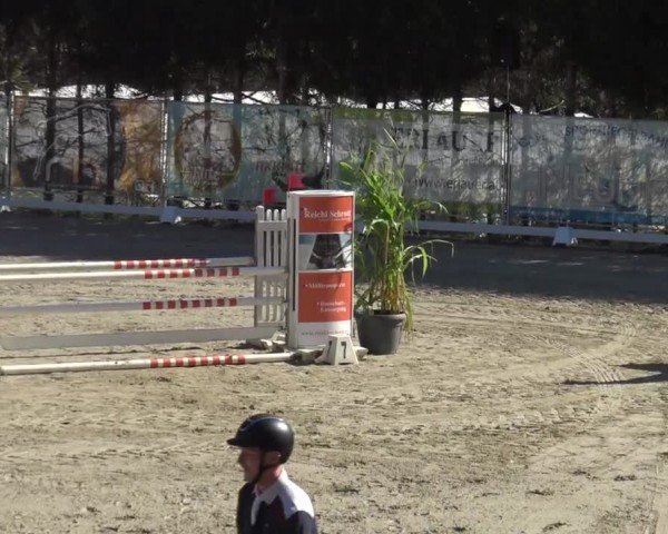 Reitturnier Preding 2023