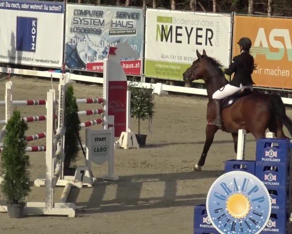 Reitturnier Preding 2023