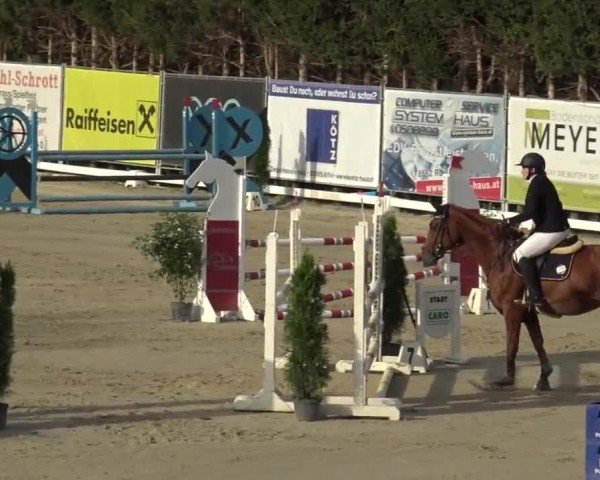 Reitturnier Preding 2023