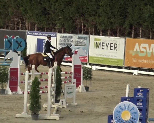 Reitturnier Preding 2023