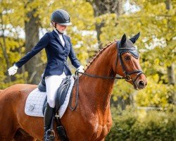 dressage horse Fidermo (Hanoverian, 2012, from Fidertanz)