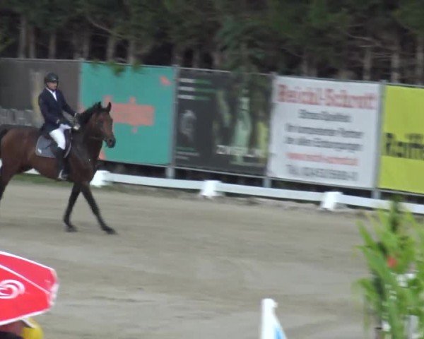 Reitturnier Preding 2023