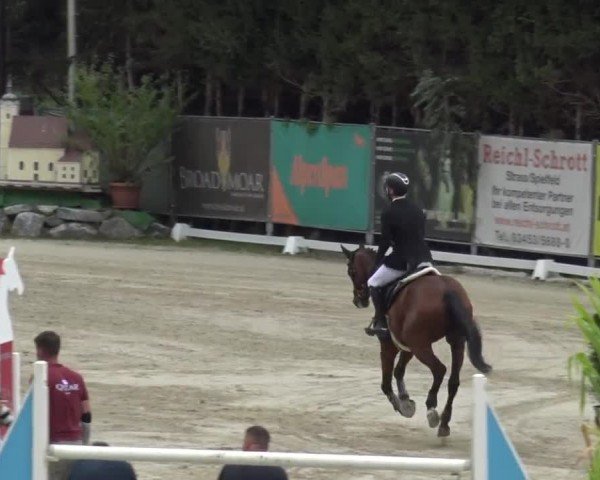 Reitturnier Preding 2023