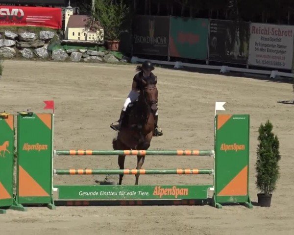 Reitturnier Preding 2023