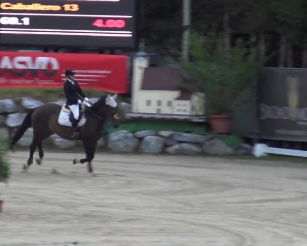 Reitturnier Preding 2023