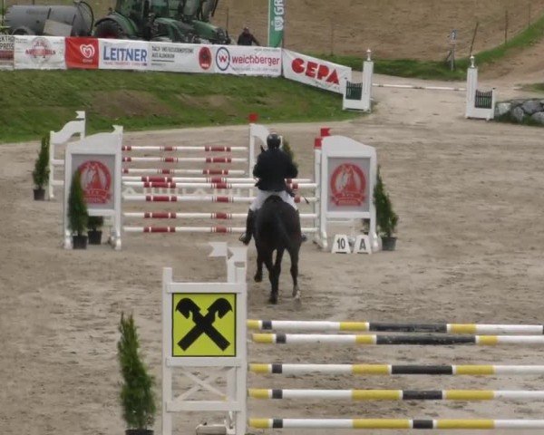 Reitturnier Preding 2023
