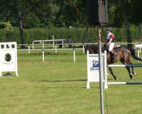 Ostenfelde-Vornholz  Dressur und Springturnier 2012
