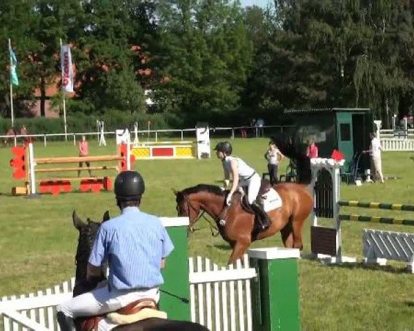 Ostenfelde-Vornholz  Dressur und Springturnier 2012