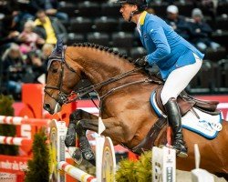 stallion Ansingh de Lis Z (Zangersheide riding horse, 2017, from Aganix du Seigneur)