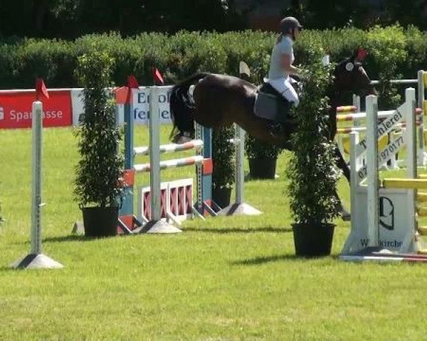 Ostenfelde-Vornholz  Dressur und Springturnier 2012