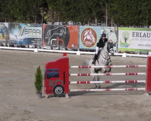 Reitturnier Preding 2023