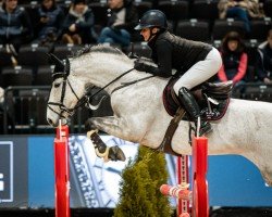 broodmare Centiralla PS (Oldenburg show jumper, 2016, from Centino du Ry)