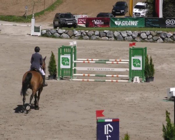 Reitturnier Preding 2023