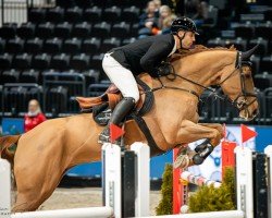 jumper Lamkel Ze Tb (Oldenburg show jumper, 2016, from HH Messenger)