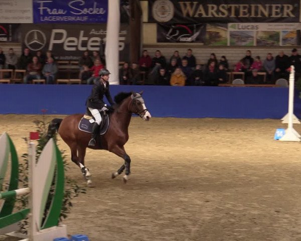 Euregio Springturnier Isterberg 2021