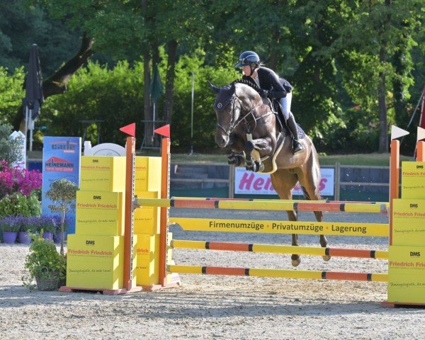 jumper Lis de Reve (Holsteiner, 2018, from Cascanetti)