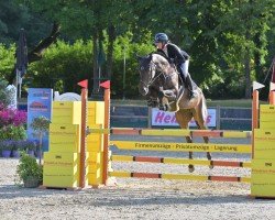 jumper Lis de Reve (Holsteiner, 2018, from Cascanetti)