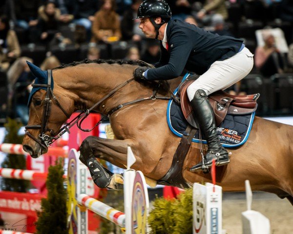 jumper Classé pour toi FRH (Hanoverian, 2016, from Conthargos)