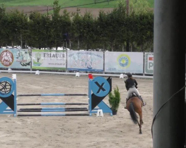 Reitturnier Preding 2023