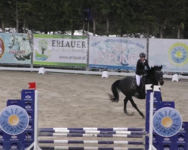 Reitturnier Preding 2023