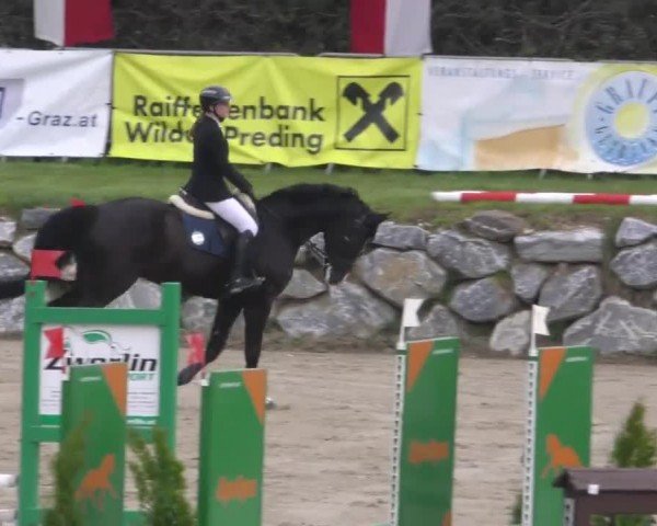 Reitturnier Preding 2023