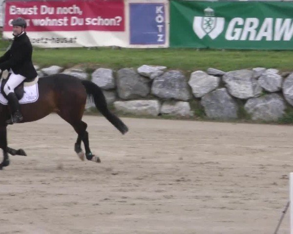 Reitturnier Preding 2023