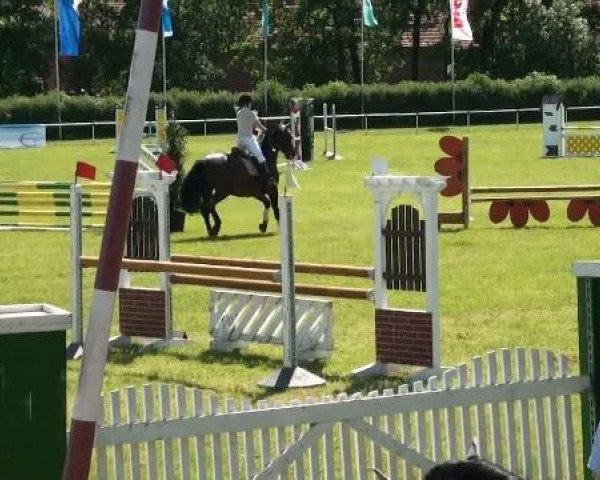 Ostenfelde-Vornholz  Dressur und Springturnier 2012