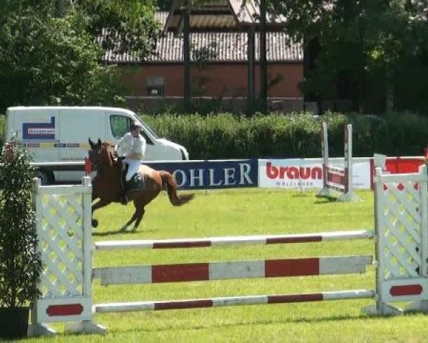 Ostenfelde-Vornholz  Dressur und Springturnier 2012