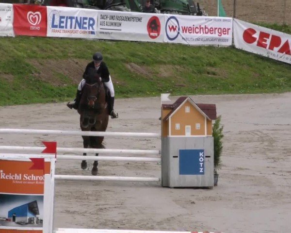 Reitturnier Preding 2023