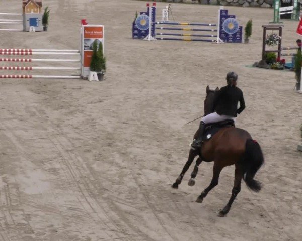 Reitturnier Preding 2023