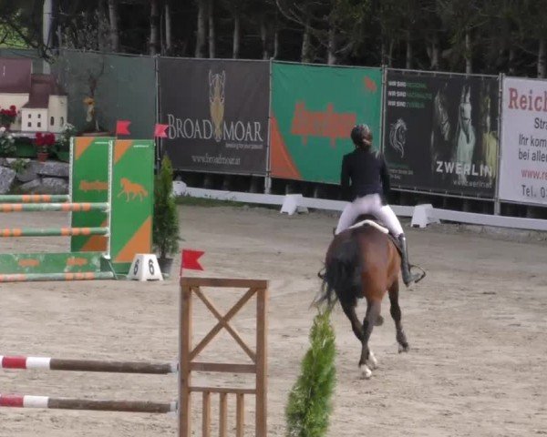 Reitturnier Preding 2023