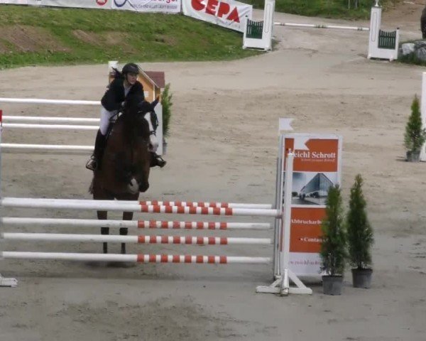 Reitturnier Preding 2023