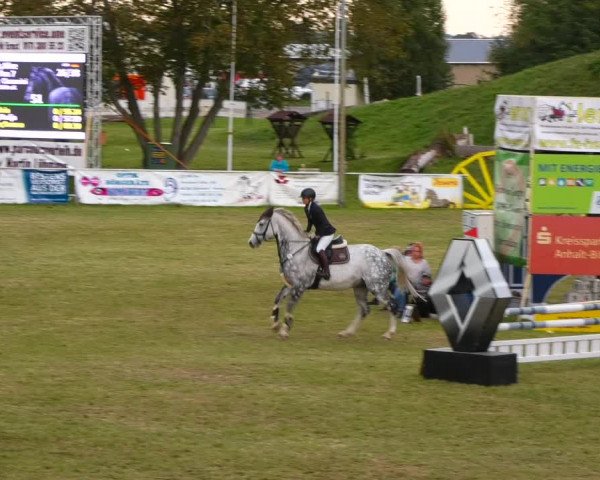 Greppiner Derby 2021