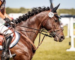 jumper Pa - Lina (Trakehner, 2013, from Grafenstolz)