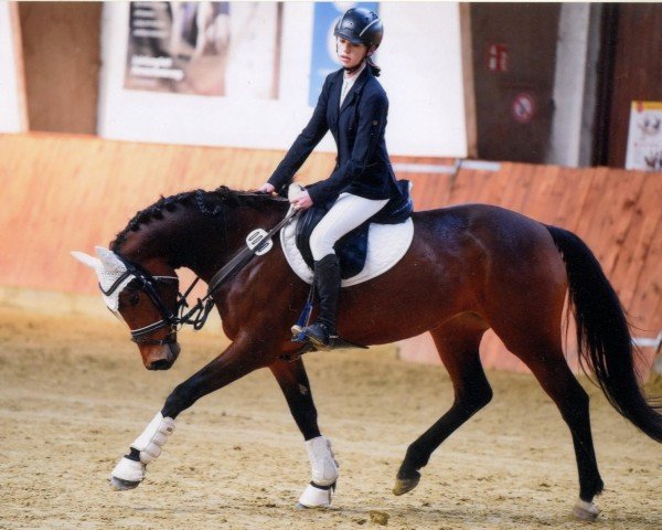 jumper Happy Oranjehof's Heart Beadin (German Riding Pony, 2018, from Dance Star AT NRW)