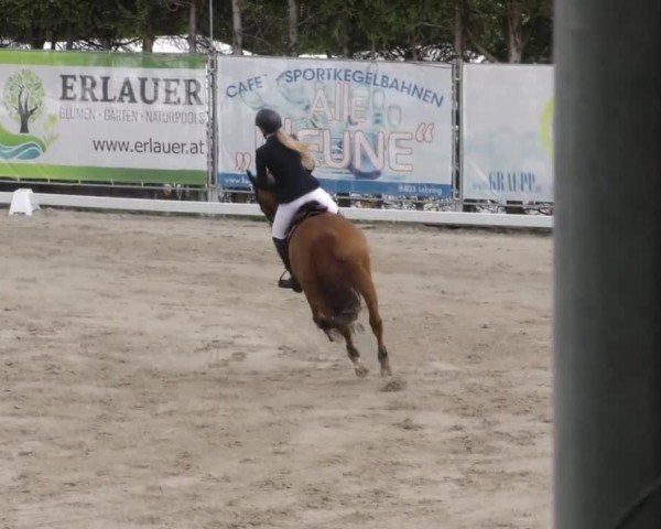Reitturnier Preding 2023